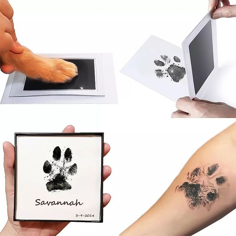 Kit de Huellas Conmemorativas para Gatos